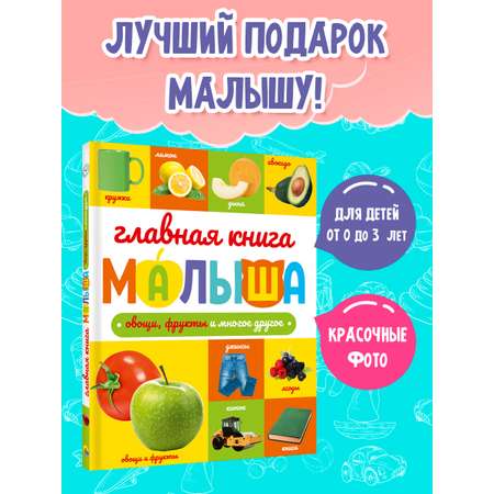 Книга Проф-Пресс Главная книга малыша. Овощи фрукты и многое другое