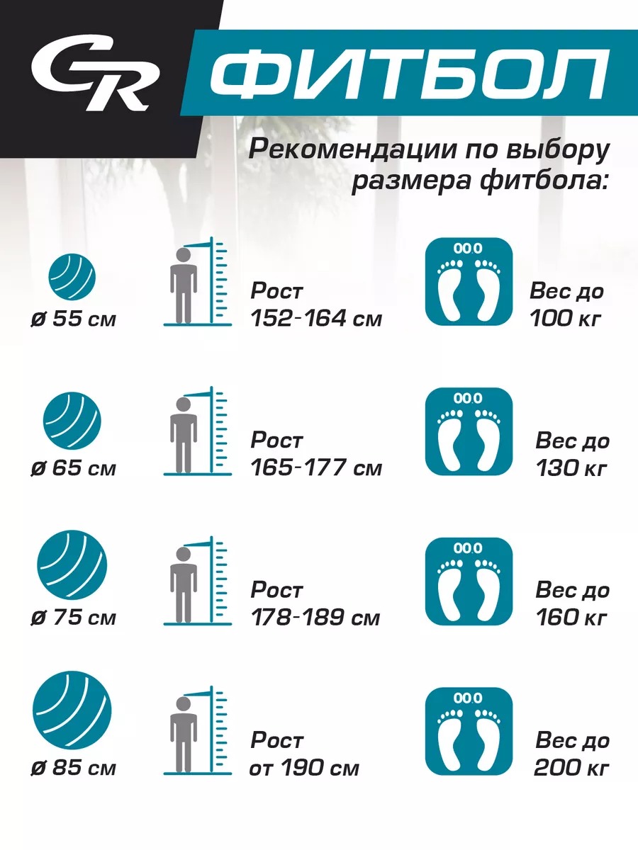 Мяч гимнастический CITYRIDE Фитбол 75см - фото 3