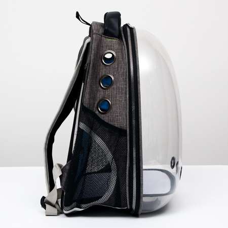Рюкзак для переноски животных Пижон прозрачный голубой
