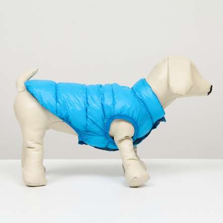 Куртка для собак Sima-Land двухсторонняя голубая