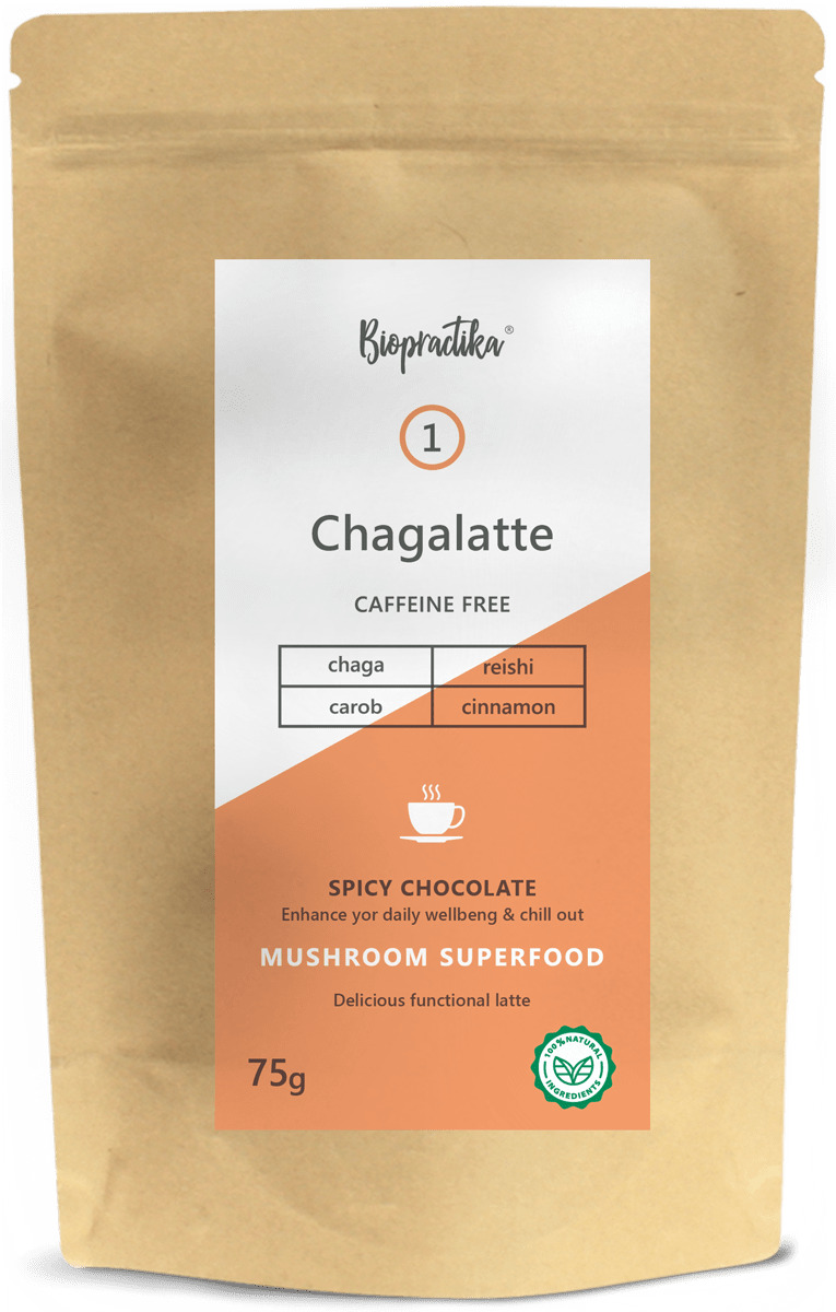 Напиток растворимый Biopractika Chagalatte №1 Spicy Chocolate 75 г - фото 1