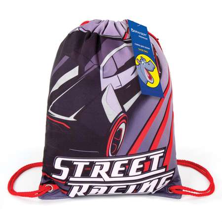 Мешок для обуви Brauberg Premium карман подкладка светоотражающие элементы 43х33 см Street racing