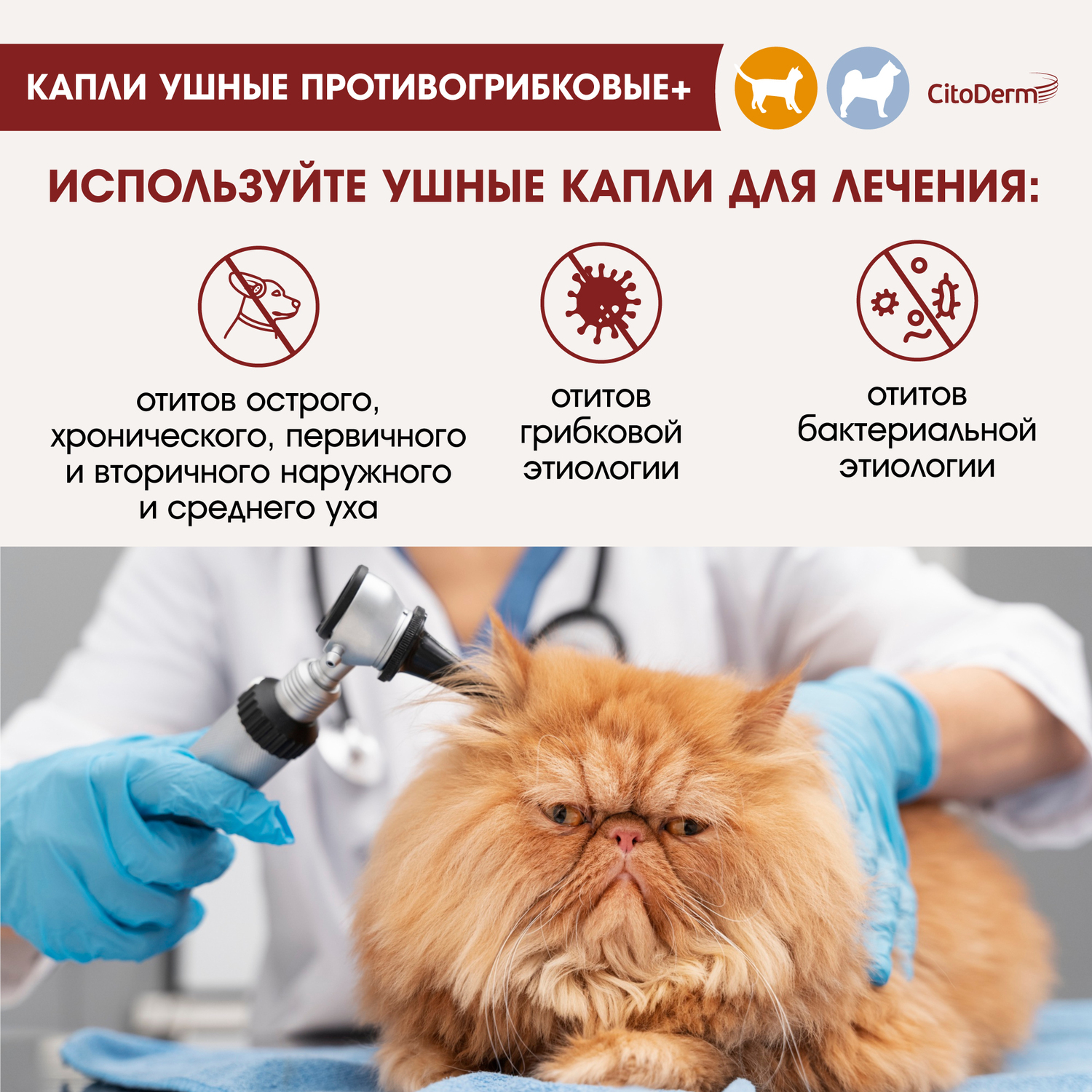 Капли ушные для животных CitoDerm противогрибковые+ 10мл - фото 4