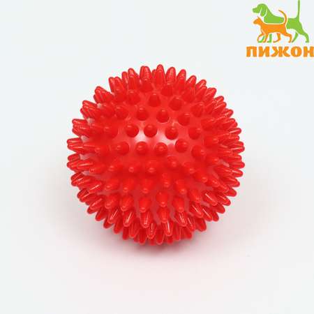 Игрушка Пижон «Мяч массажный» пластикат микс цветов 7.5 см