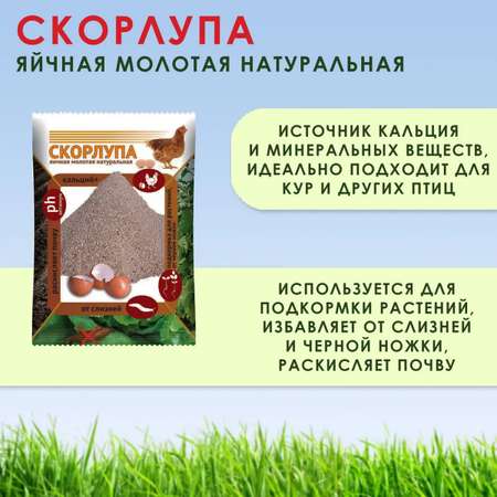 Кормовая добавка Ваше Хозяйство для кур и птиц Скорлупа яичная 1.5кг