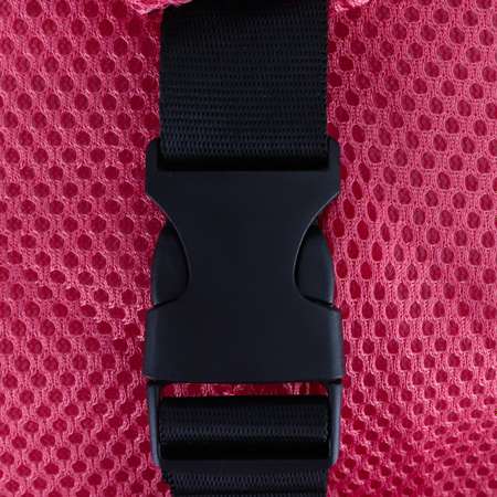 Сумка для сменной обуви Prof-Press розовая фуксия на молнии текстиль 54x22x26 см