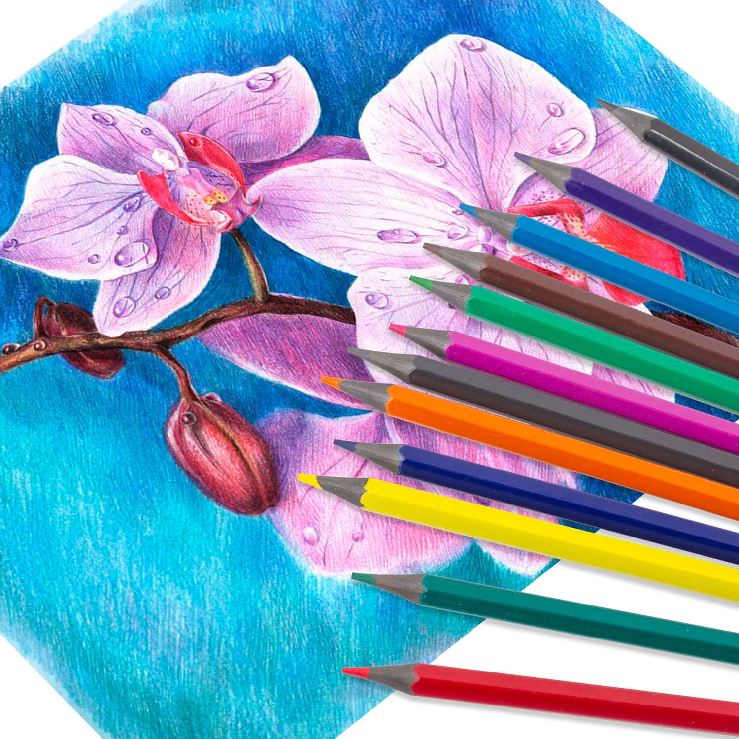 Карандаши цветные Пифагор для рисования набор 18 цветов пластиковые - фото 2
