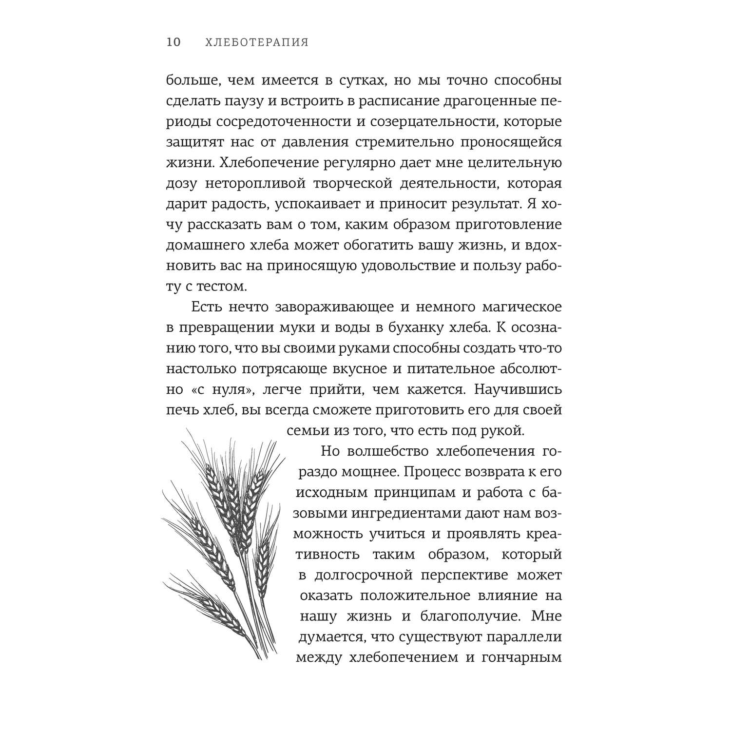 Книга КОЛИБРИ Хлеботерапия. Искусство осознанного выпекания хлеба Бомон П - фото 6