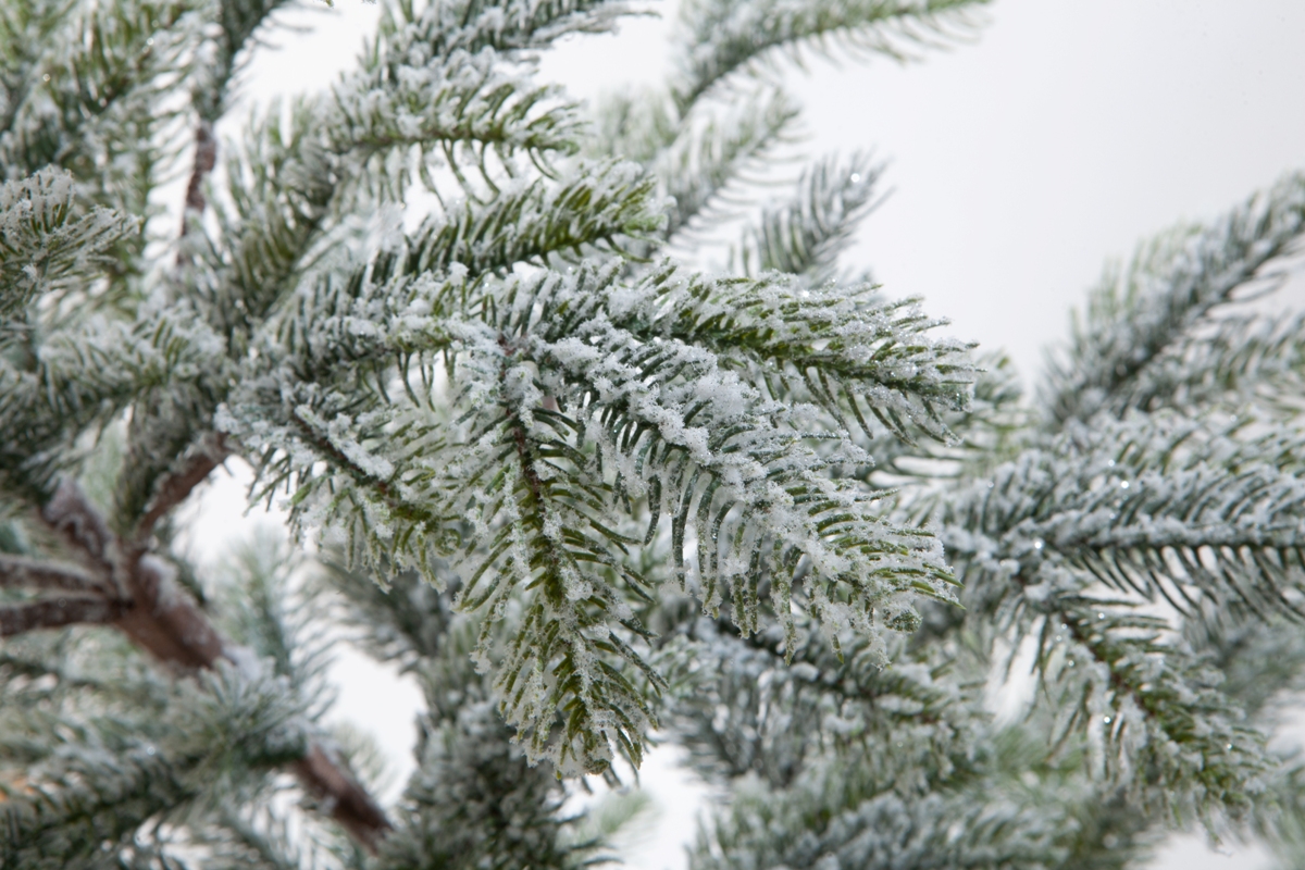 Искусственная елка Crystal Trees Больери в снегу 150 см. - фото 3