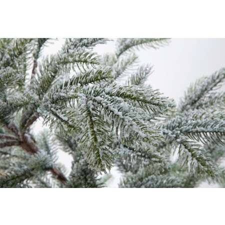 Искусственная елка Crystal Trees Больери в снегу 150 см.