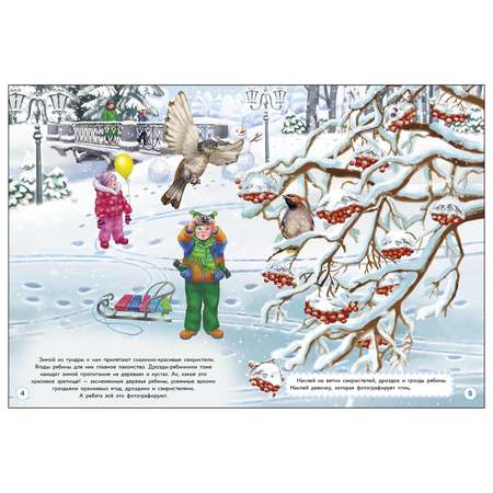 Книга СТРЕКОЗА Многоразовые наклейки Птички зимой Дополни картинку