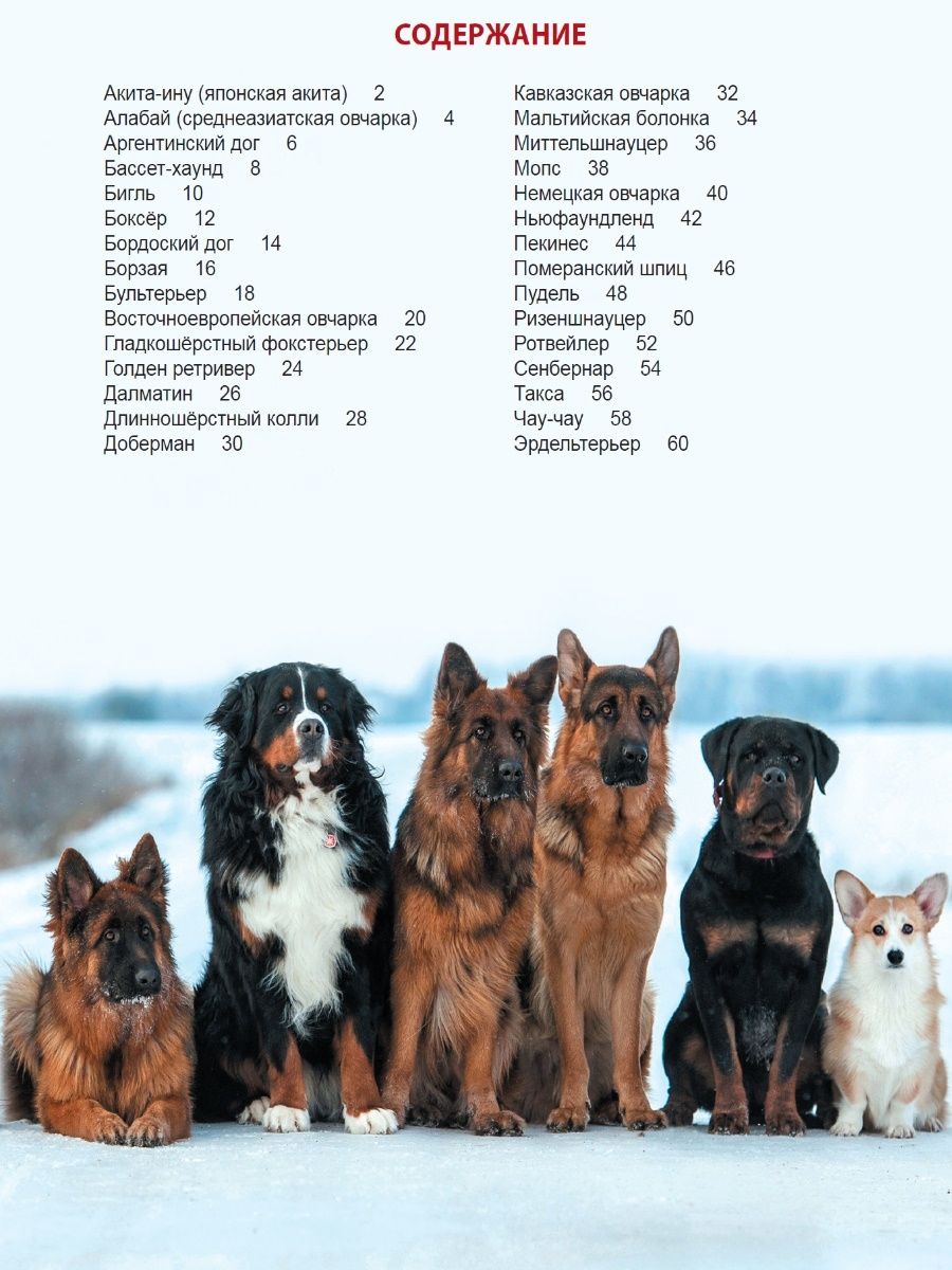 Книга Проф-Пресс Энциклопедия для детей. Собаки - фото 3