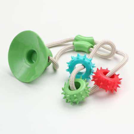 Игрушка Пижон для собак «Кольца с шипами на присоске» 40 см зелёная/голубая/красная