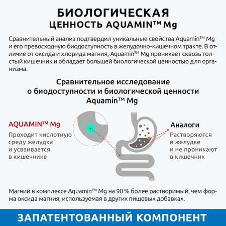 Магний с витамином В6 UltraBalance бад для мужчин и женщин Magnesium b6 с комплексом Aquamin 120 капсул