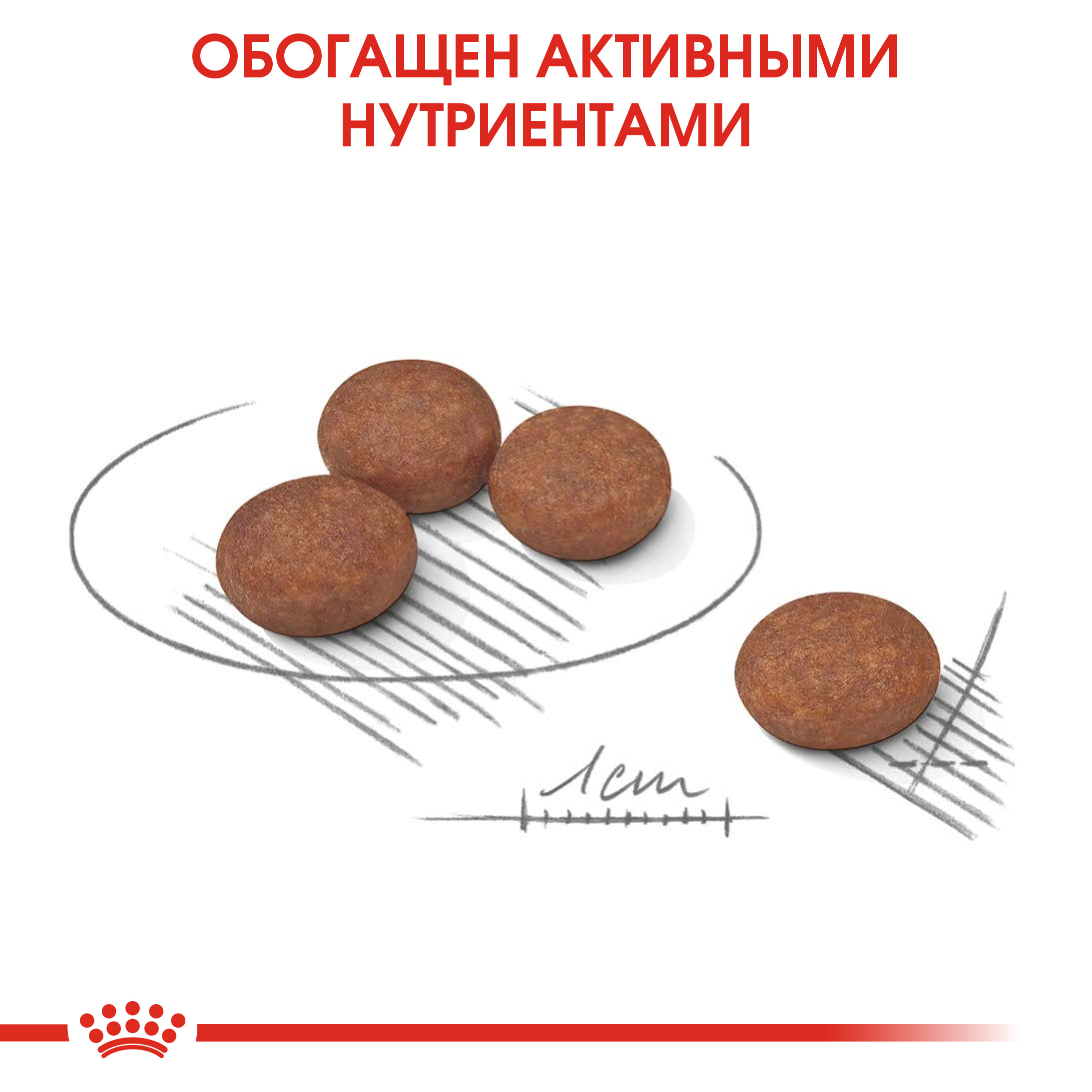 Корм для собак ROYAL CANIN Mini Digestive Care мелких пород с чувствительным пищеварением 3кг - фото 5