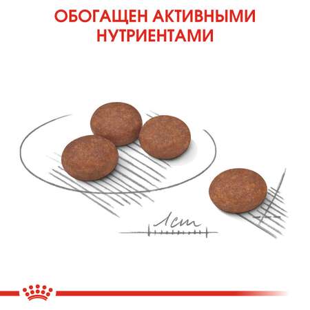 Корм для собак ROYAL CANIN Mini Digestive Care мелких пород с чувствительным пищеварением 3кг