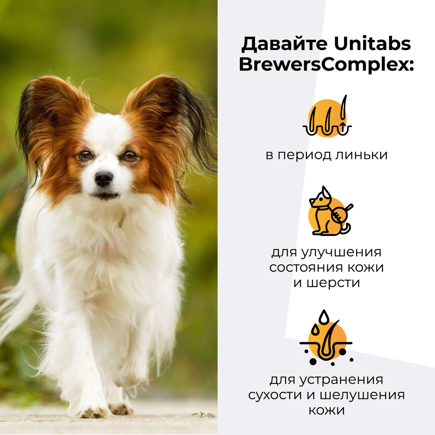 Витамины для собак Unitabs Brewers Complex мелких пород с пивными дрожжами и Q10 100таблеток - фото 4
