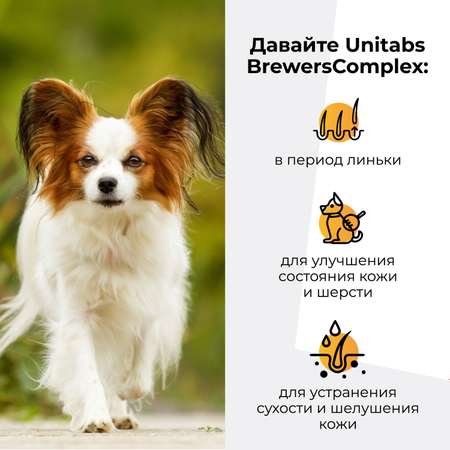 Витамины для собак Unitabs Brewers Complex мелких пород с пивными дрожжами и Q10 100таблеток