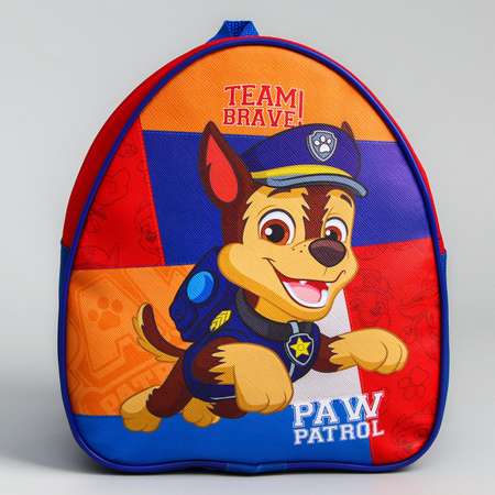 Рюкзак Paw Patrol детский Team brave Щенячий патруль