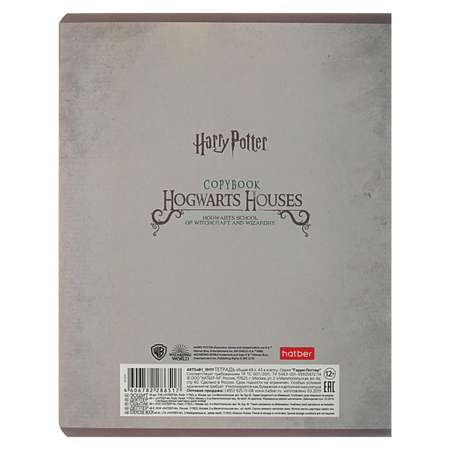 Тетрадь Sima-Land 48 листов в клетку «Гарри Поттер» обложка мелованный картон матовая ламинация МИКС