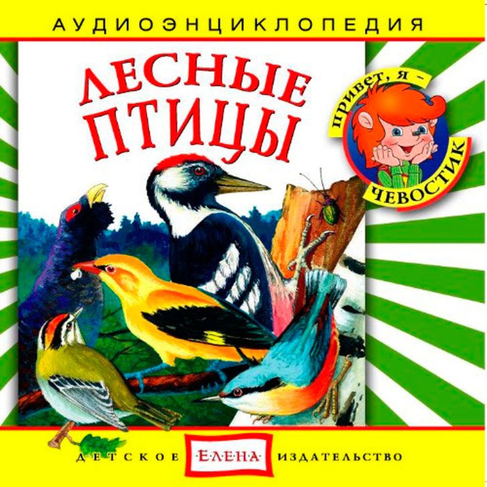 Аудиокнига АРДИС Аудиоэнциклопедия. Лесные птицы. 1 audioCD - фото 1