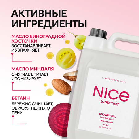 Гель для душа NICE by Septivit Cherry Berry 5л