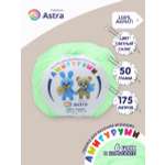Пряжа для вязания Astra Premium амигуруми акрил для мягких игрушек 50 гр 175 м 167 светлый салат 6 мотков