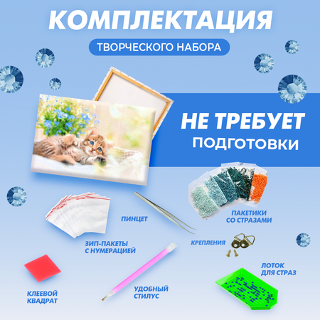 Алмазная мозаика Solmax Котенок на подрамнике 40х50см