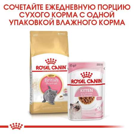 Корм сухой для котят ROYAL CANIN British Shorthair 2кг породы британской короткошерстной