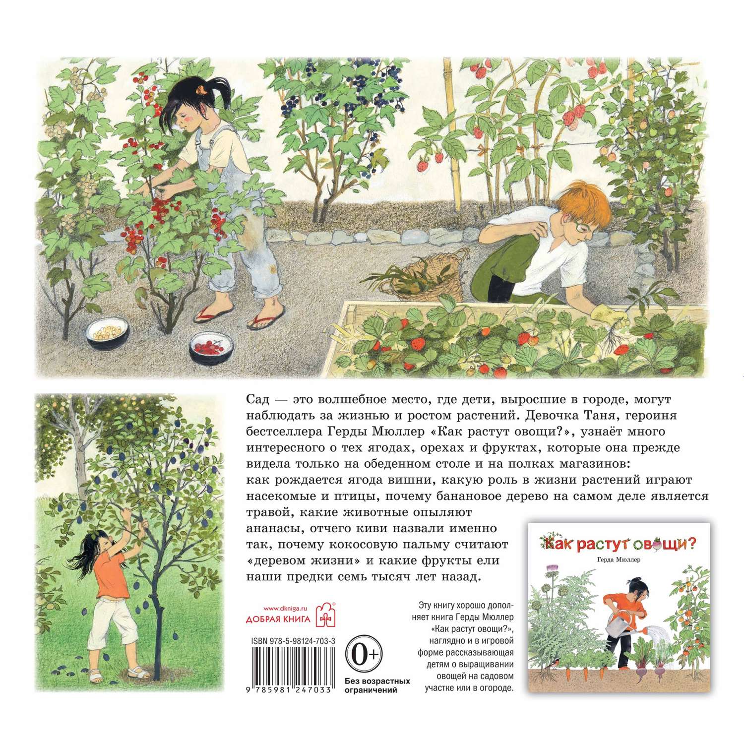 Комплект Добрая книга Как растут овощи? + Как растут ягоды + Наше дерево - фото 36