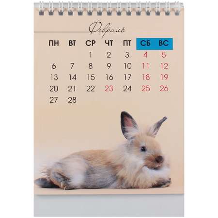 Календарь-домик Prof-Press Очаровательные кролики А5 с планировщиком для записей