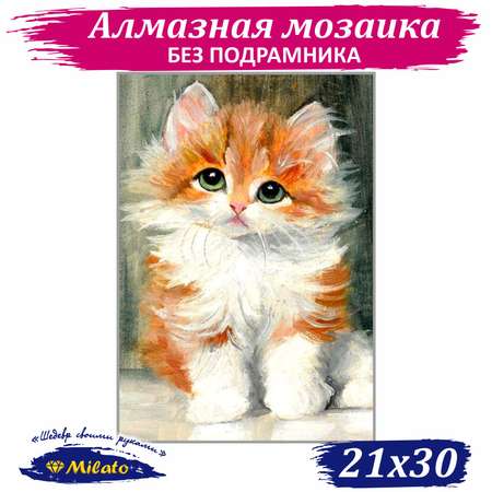 Алмазная мозаика Милато NR-146 Рыжий котенок