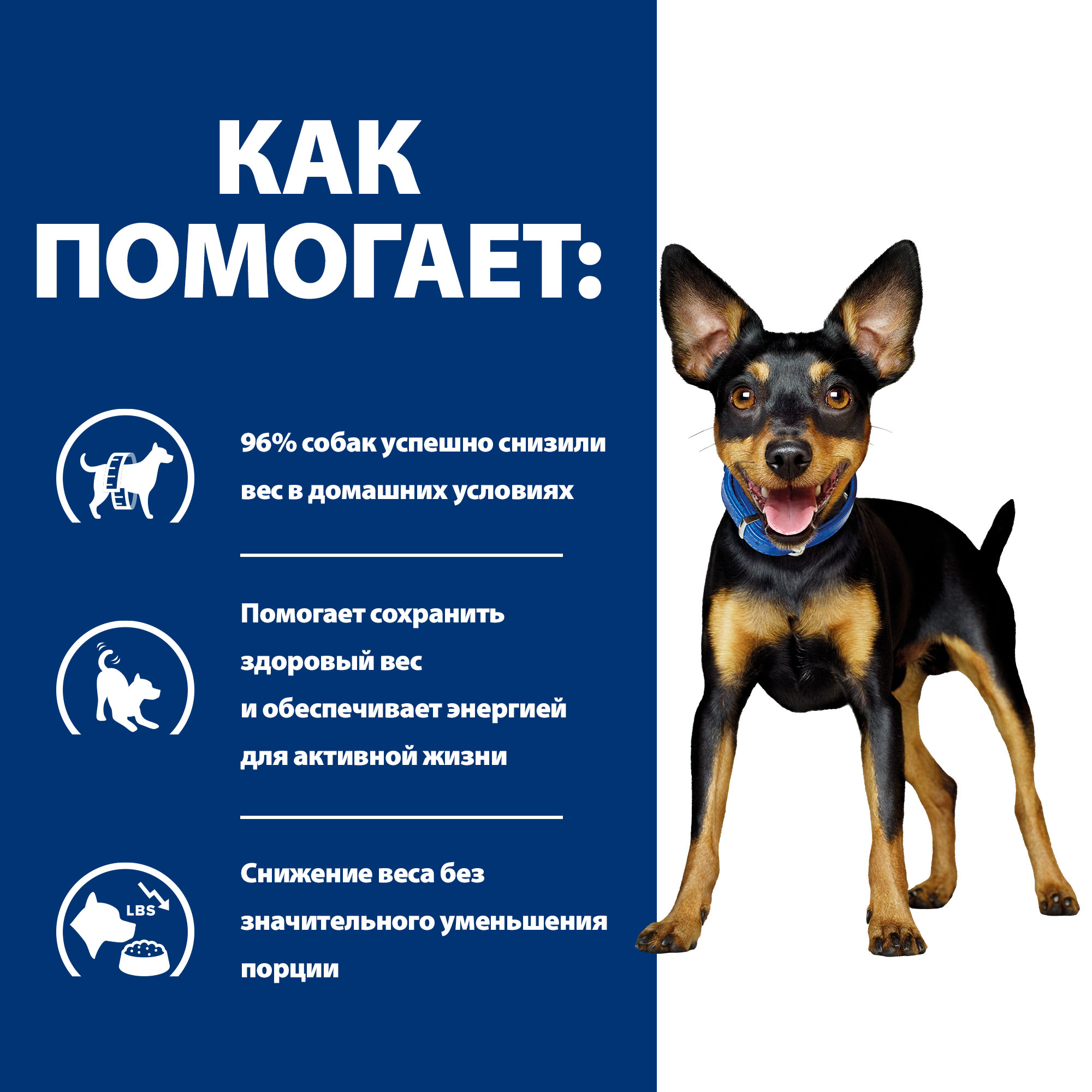 Корм для собак мелких пород HILLS 3кг Prescription Diet Metabolic Mini для снижения и контроля веса с курицей сухой - фото 5