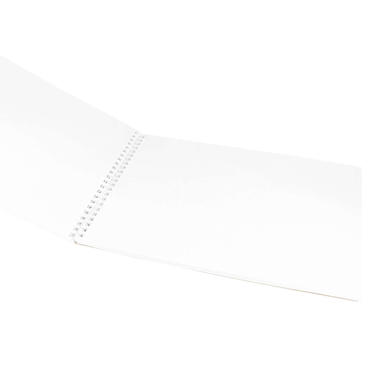 Скетчбук Prof-Press одуванчики 30 листов плотность бумаги 160 г/м2 - фото 2