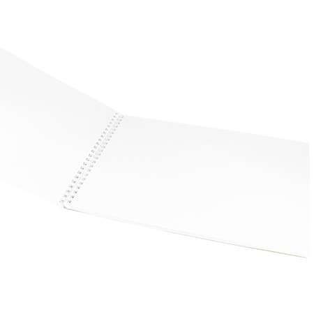 Скетчбук Prof-Press одуванчики 30 листов плотность бумаги 160 г/м2