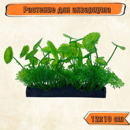 Искуственное растение Rabizy для аквагрунта 12х10 см