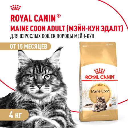 Корм для кошек Royal Canin 4кг Maine Coon породы мейн-кун