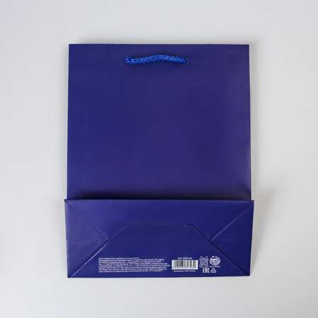 Пакет подарочный Доступные Радости ТМ «Синий» MS