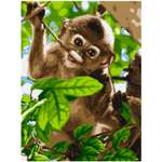 Картина по номерам LORI Милая обезьянка 38х28.5 см