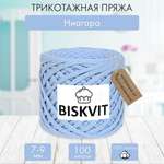 Трикотажная пряжа BISKVIT Ниагара