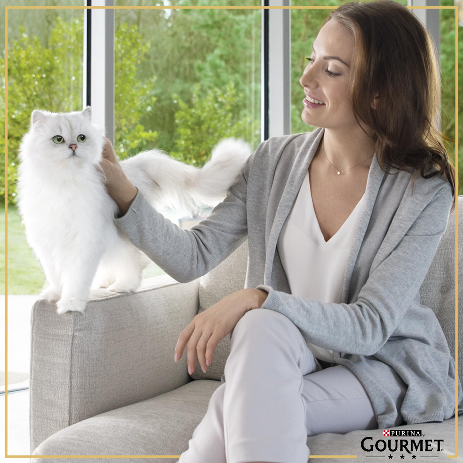Корм влажный для кошек Гурмэ Perle 85г Соус Делюкс лосось - фото 9