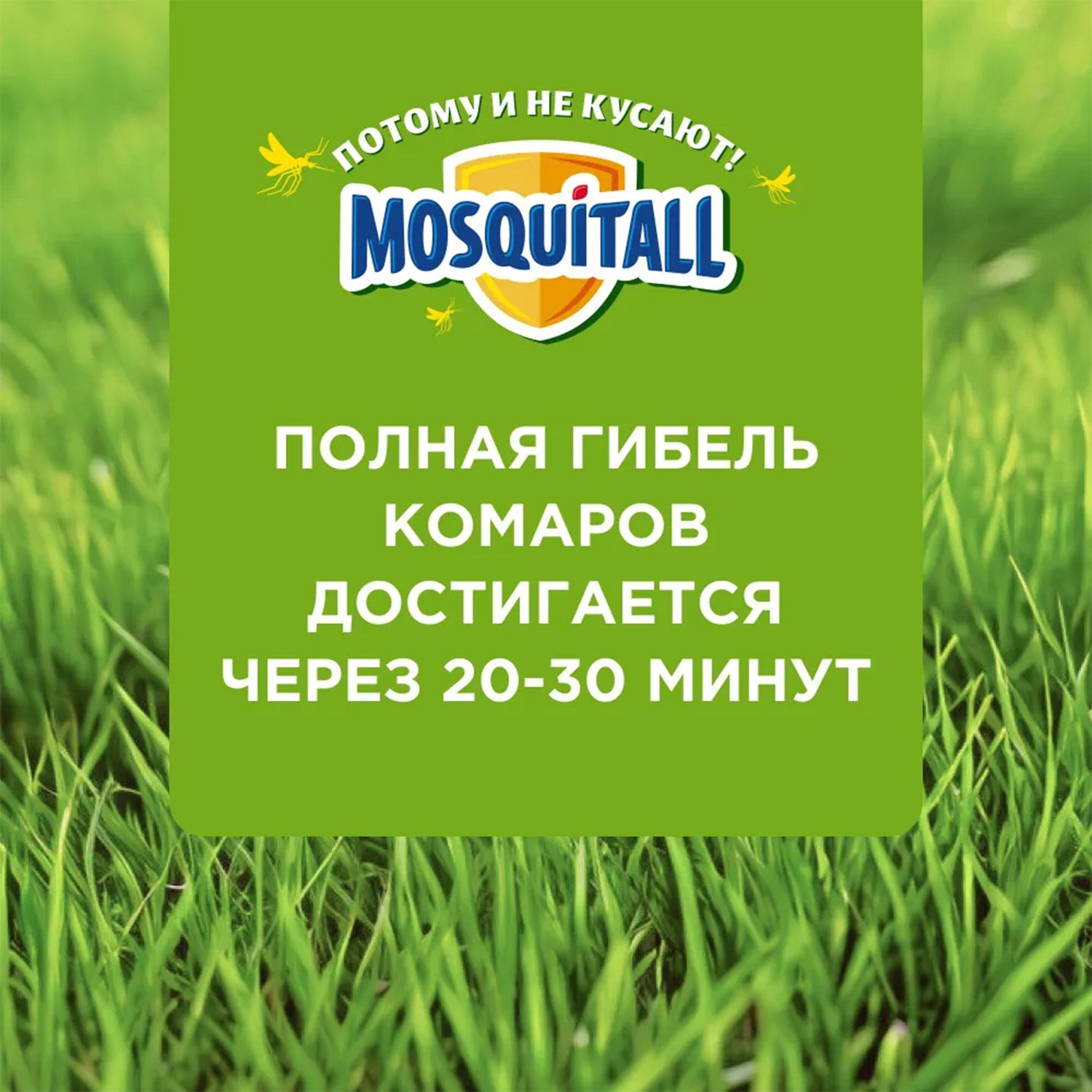 Жидкость 60 ночей Mosquitall защита для всей семьи от комаров 30 мл 2 шт - фото 7