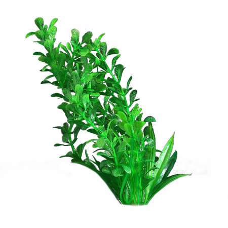 Растение для аквариума Пижон Аква 14 х 14 х 20 см