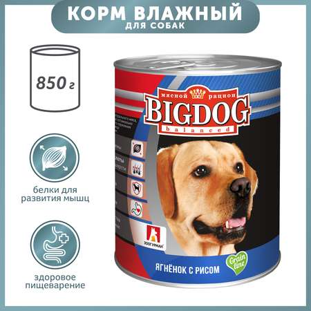 Корм для собак Big Dog 850г ягненок с рисом ж/б
