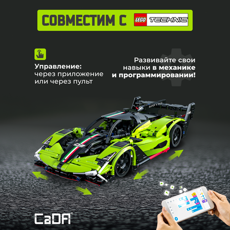 Конструктор CaDa Fantasy Wings 395 деталей C51303W