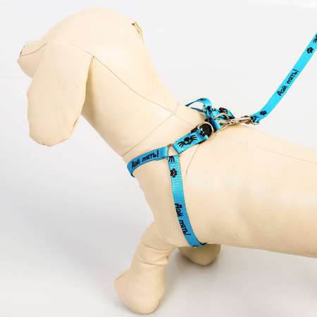 Комплект для собаки Пушистое счастье «Дай пять» шлейка 28-47см поводок 120 см