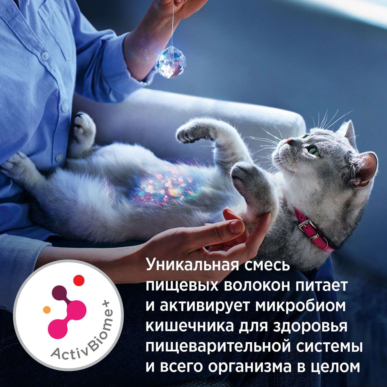 Корм для кошек HILLS 1,5кг Prescription Diet Gastrointestinal Biome c курицей - фото 13