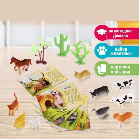 Набор животных IQ-ZABIAKA с обучающими карточками Фермерское хозяйство 10 животных