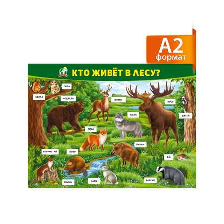 Плакат обучающий на стену Мир поздравлений какие звери живут в лесу животные с картинками и названиями А2