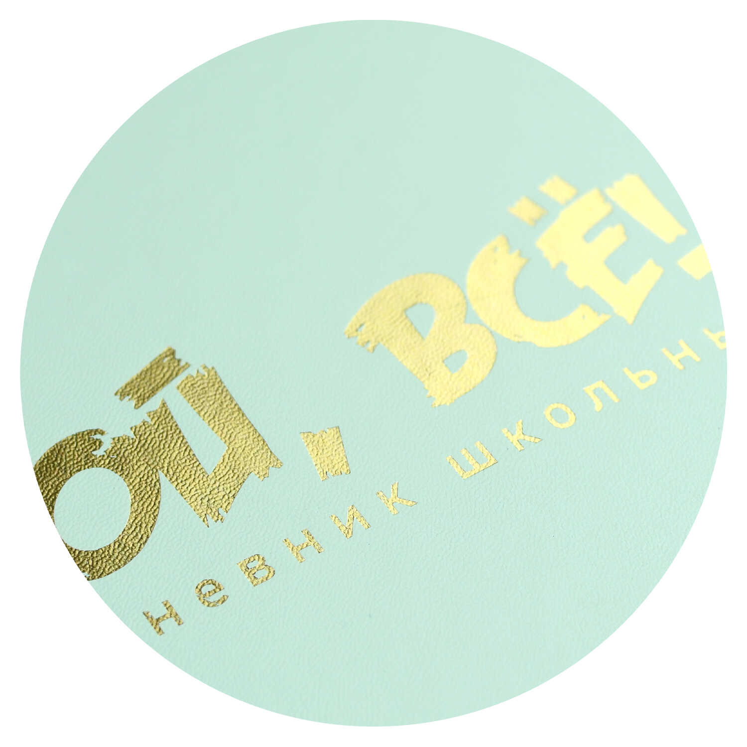 Дневник школьный Феникс + Ой, всё - фото 9
